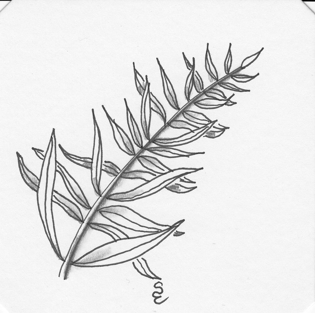 zentangle drawing Sally Evans
