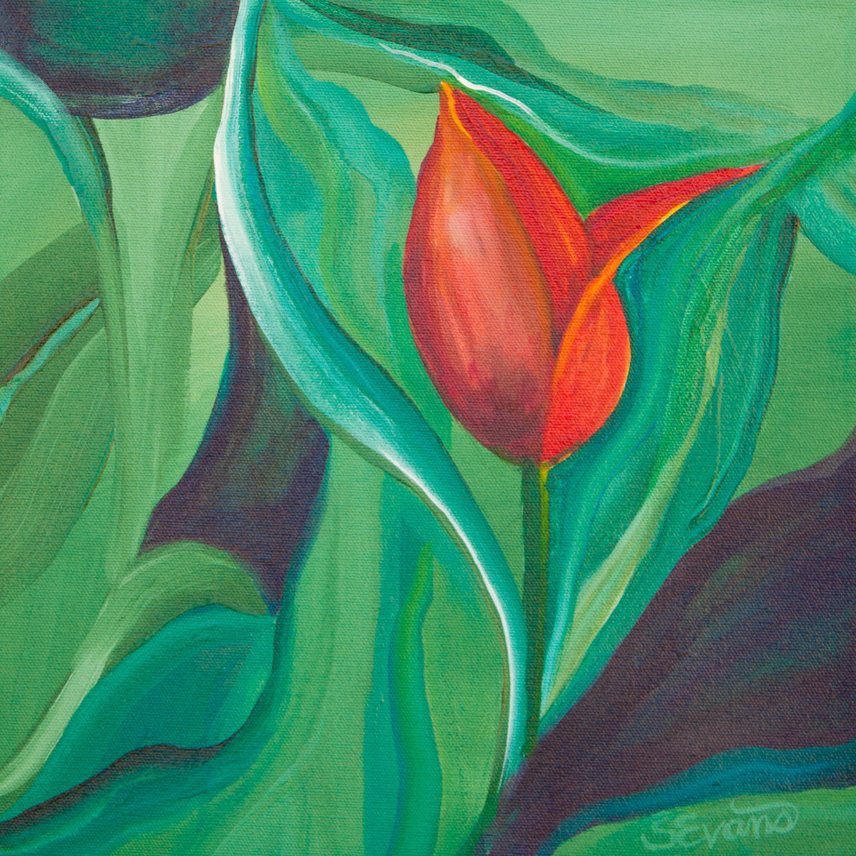 Red Tulip Art Print