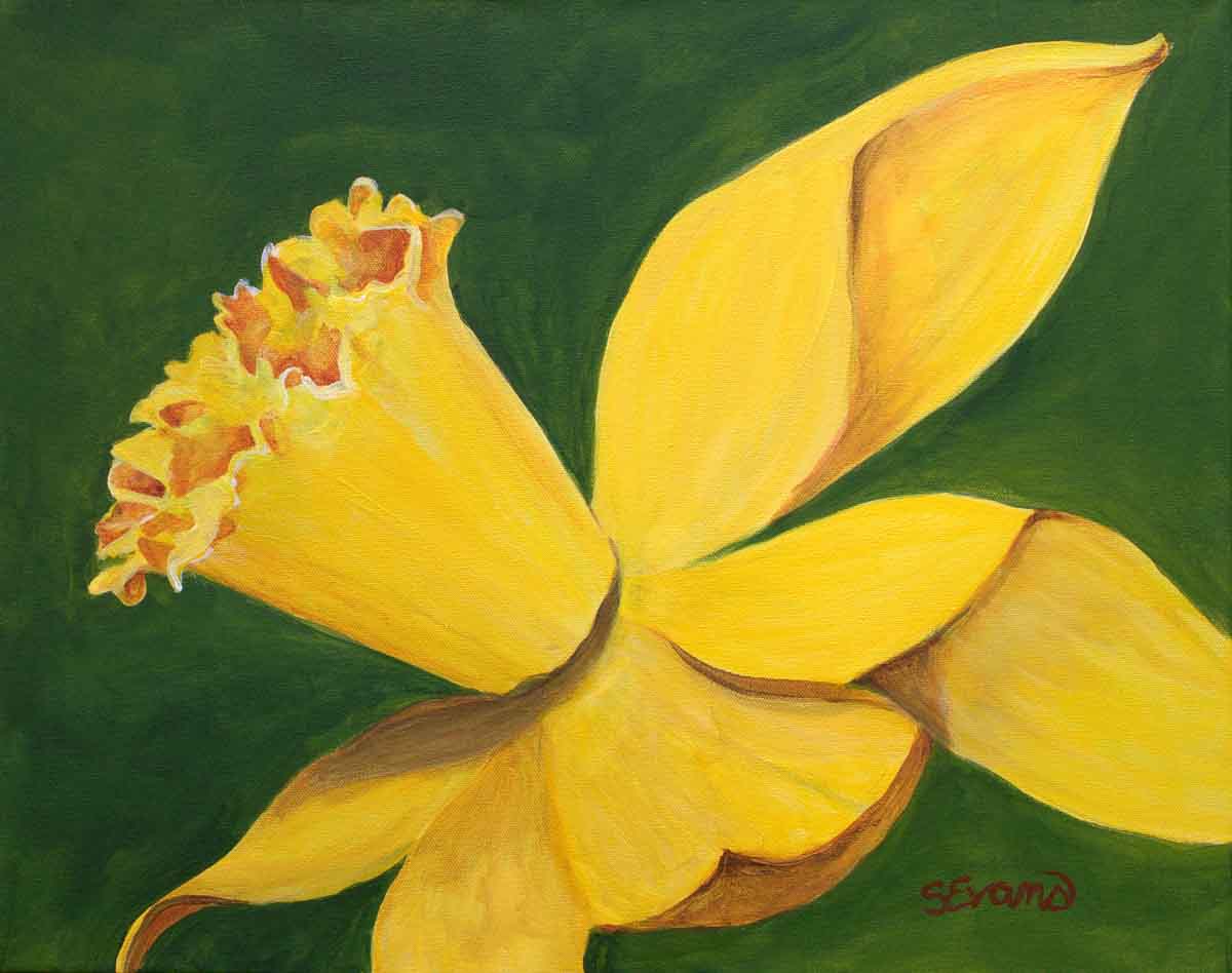 Yellow Daffodil Art Print