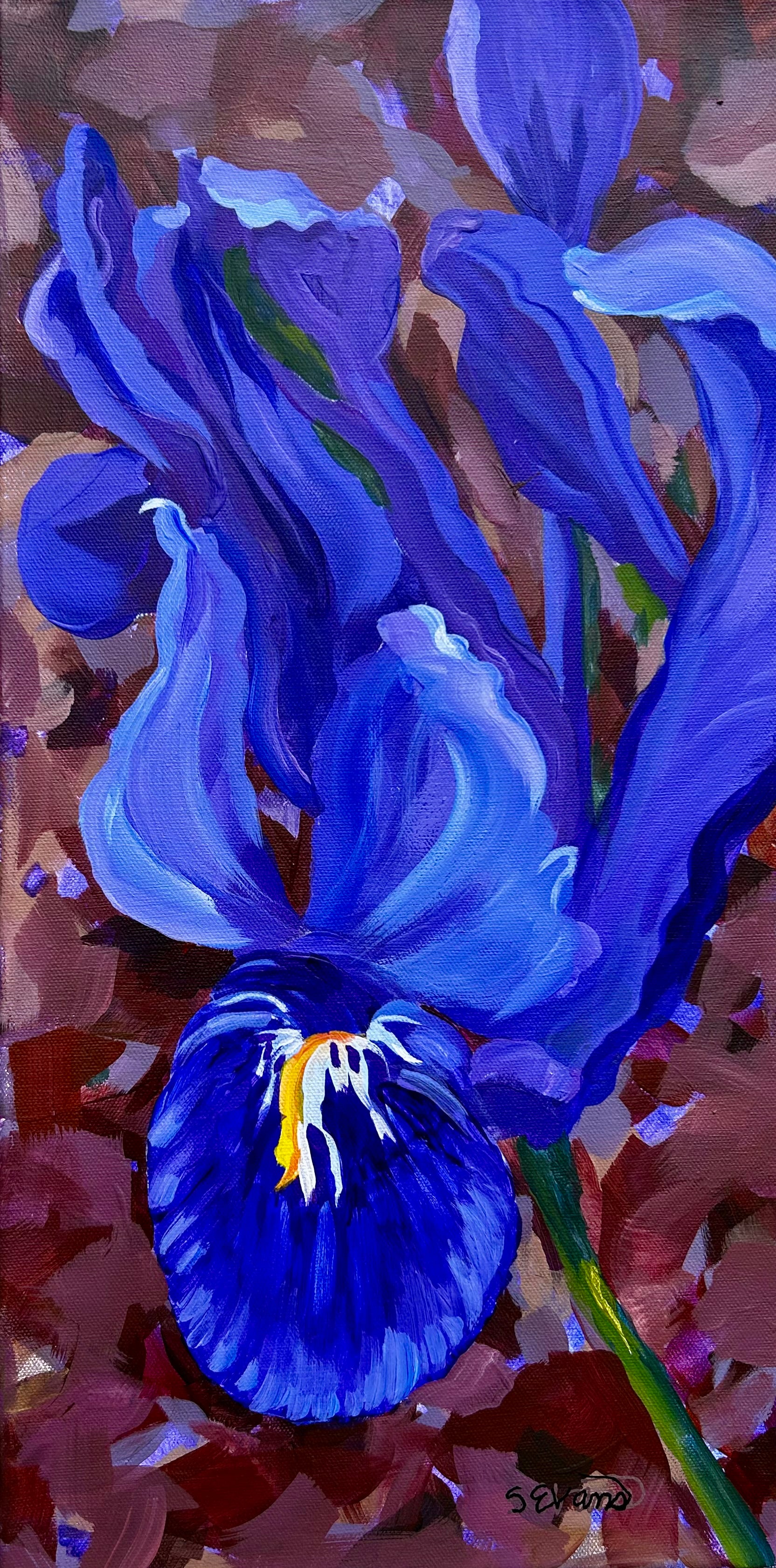 Unexpected Surprise, Dwarf Purple Iris, ©Sally Evans, Acrylic on canvas, 20" x 10"