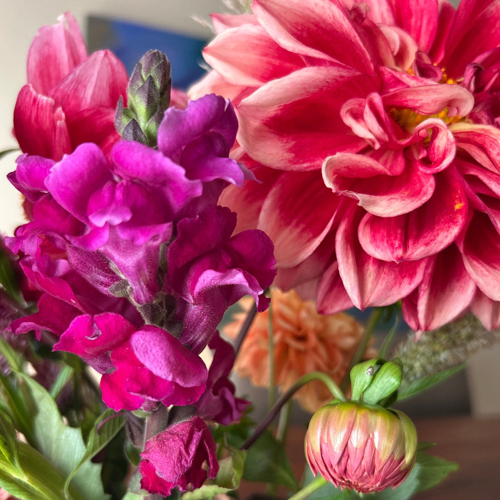 Dahlia and sweet pea garden delights